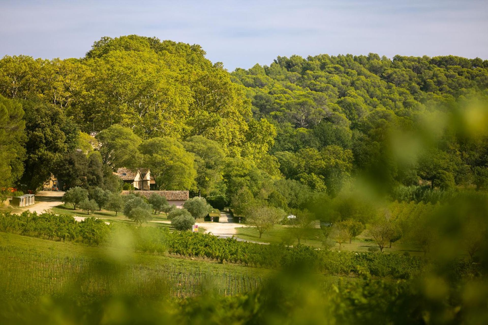 Chateau Mentone Masseboeuf Kültér fotó