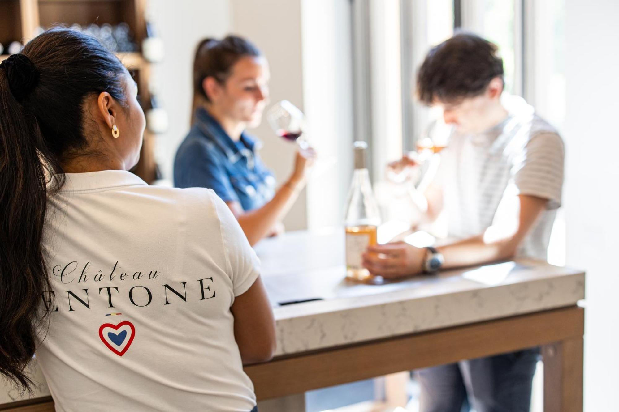 Chateau Mentone Masseboeuf Kültér fotó