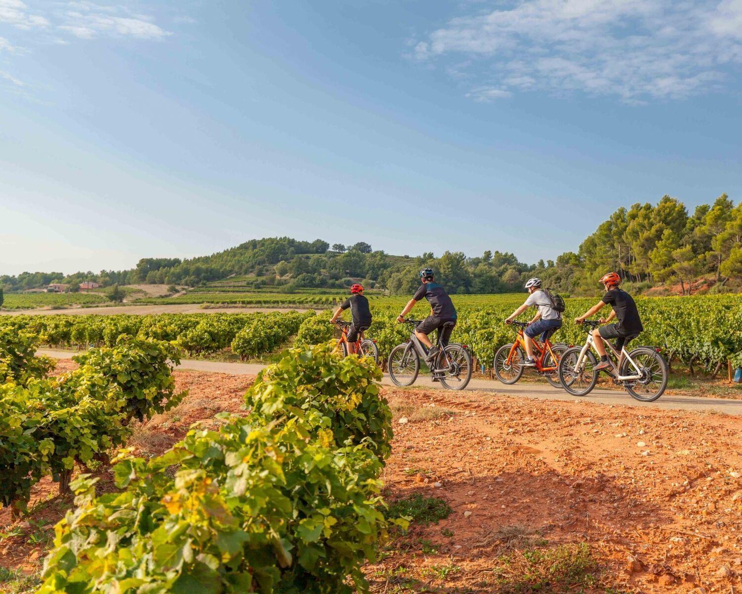 Chateau Mentone Masseboeuf Kültér fotó